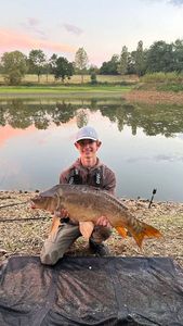 Mirror Carp