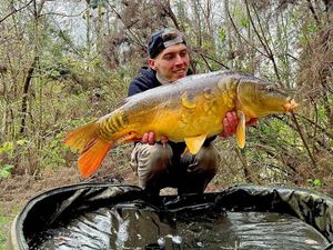 Mirror Carp