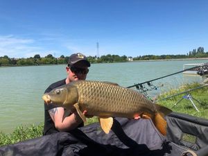 Common Carp