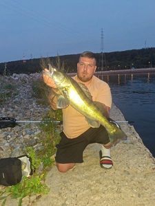 Zander