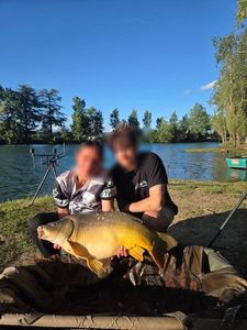 Mirror Carp