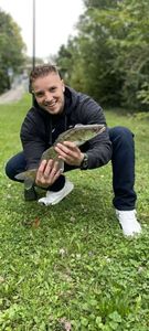 Zander