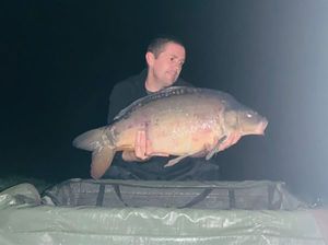 Mirror Carp