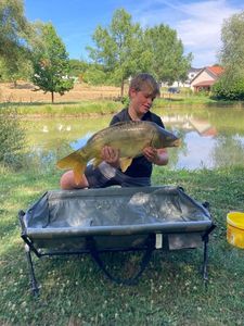 Mirror Carp