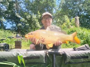 Common Carp