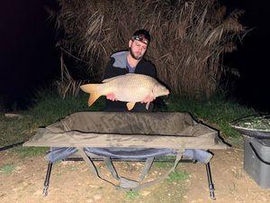 Common Carp