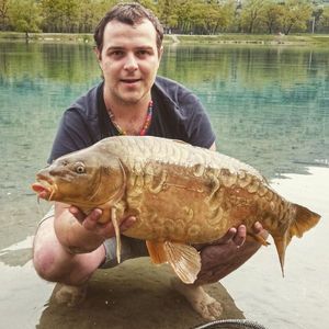 Mirror Carp