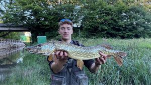 Northern Pike