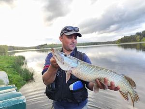 Northern Pike