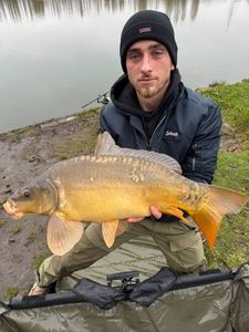 Mirror Carp