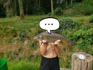 Common Carp