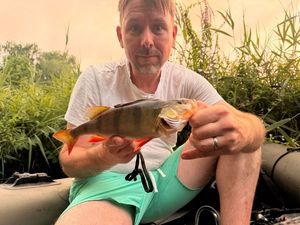 European Perch