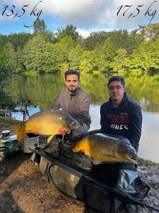 Mirror Carp