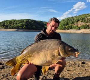 Mirror Carp