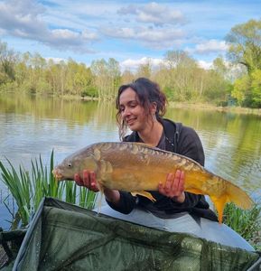 Mirror Carp