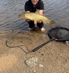 Grass Carp