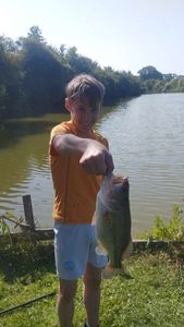 Largemouth Bass