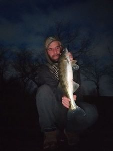 Zander