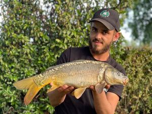 Mirror Carp
