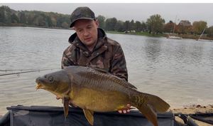 Mirror Carp