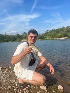 Largemouth Bass