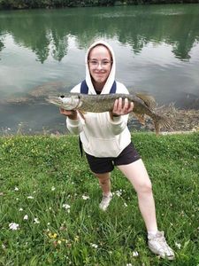 Northern Pike