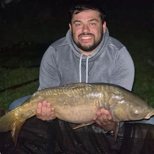 Mirror Carp
