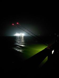 Whiting