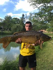 Mirror Carp