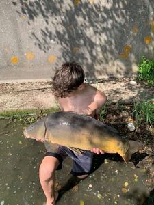 Leather Carp
