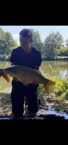 Mirror Carp