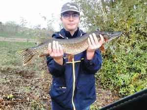 Northern Pike