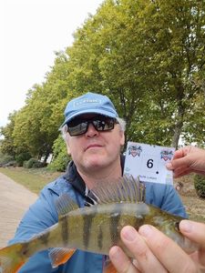 European Perch