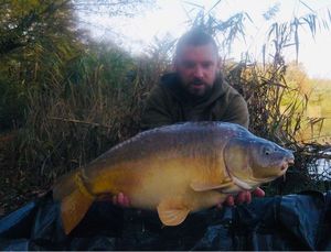 Mirror Carp