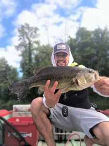 Smallmouth Bass
