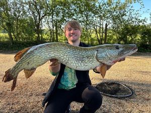 Northern Pike