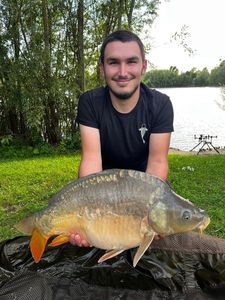Mirror Carp