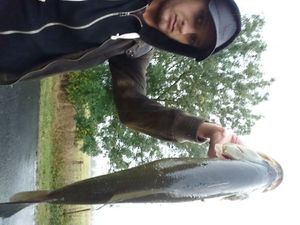 Largemouth Bass