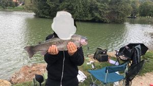 Rainbow Trout