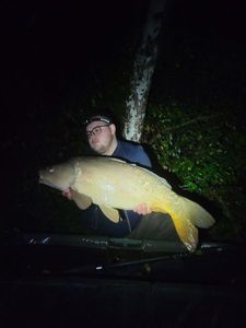 Mirror Carp