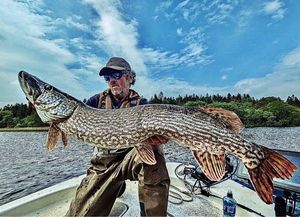Northern Pike