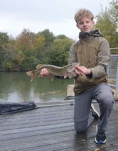 Northern Pike