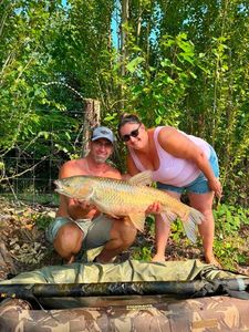Grass Carp