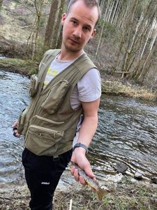 Brown Trout