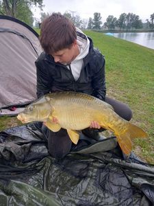 Leather Carp