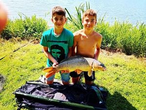 Common Carp