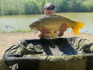 Common Carp