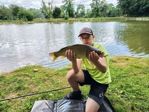 Common Carp