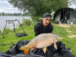 Mirror Carp
