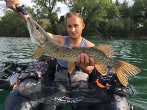Northern Pike
